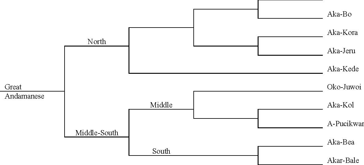 Tree-diagram 2: Glottolog classification of Great Andamanese languages showing North (Aka-Cari, Aka-Bo, Aka-Kora, Aka-Jeru) and Middle-South branches