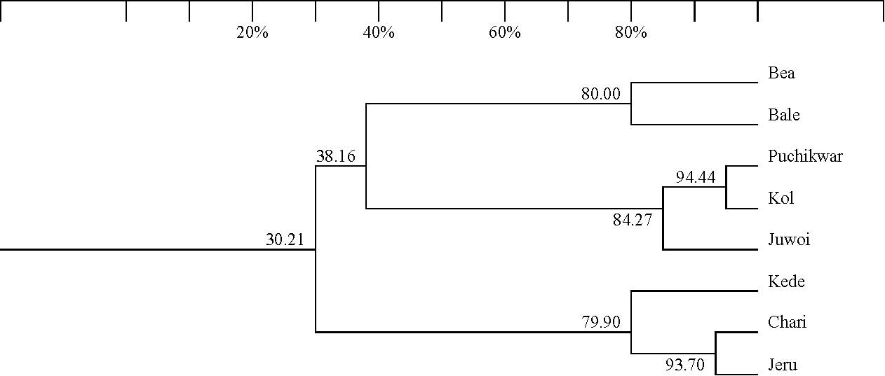 Tree-diagram 4a: Classification using partial averages method, showing percentage relationships from 20% to 80%