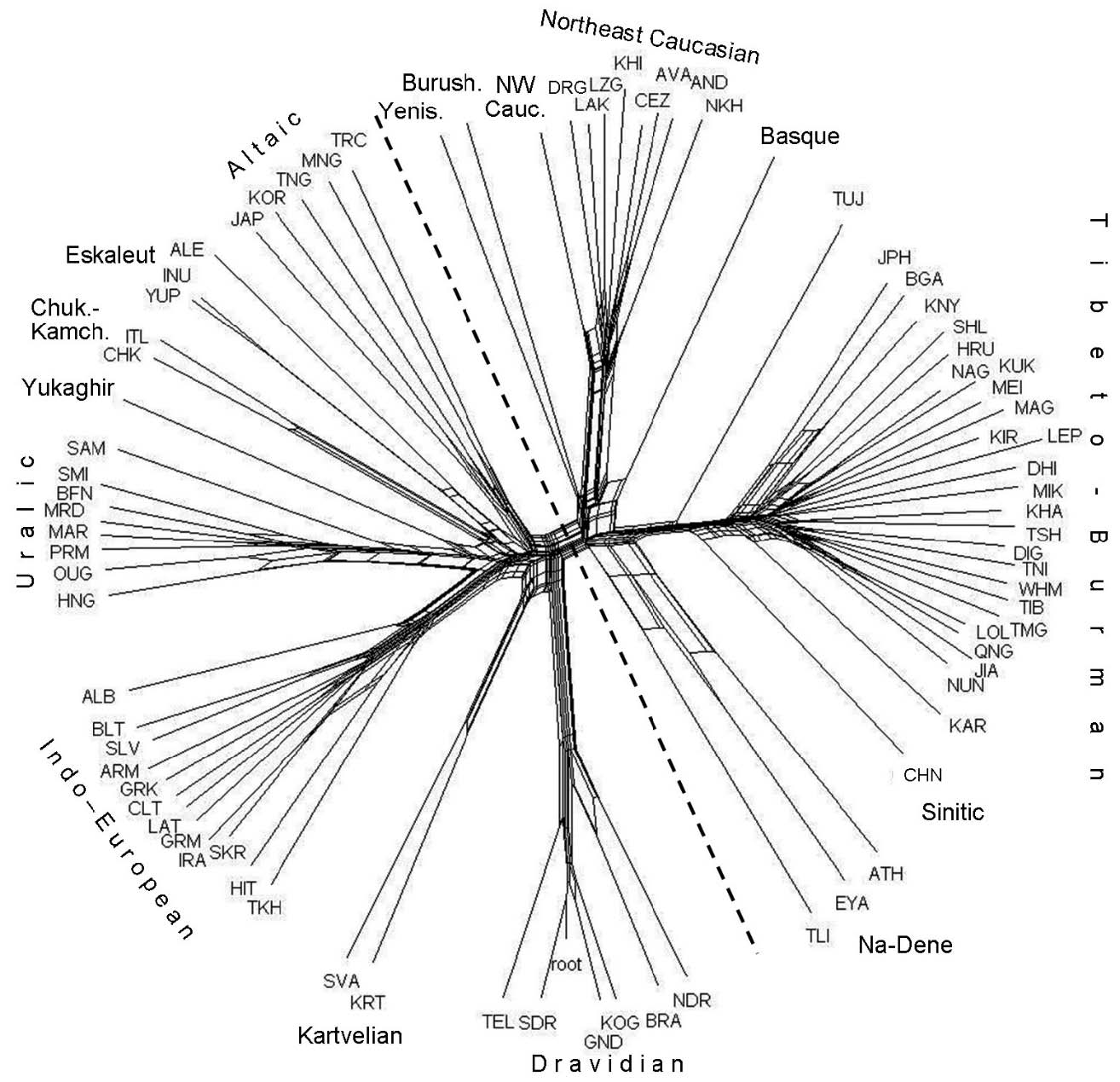 Network of languages, rooted by Dravidian