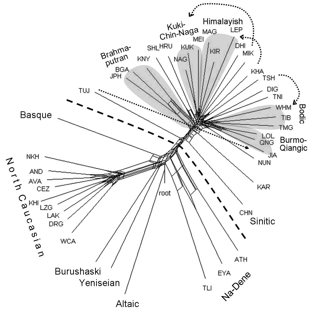 Network of DC languages, rooted by Altaic
