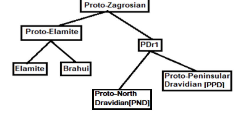 Family tree diagram: Proto-Zagrosian branches into Proto-Elamite (yielding Elamite and Brahui) and PDr1, which branches into Proto-North Dravidian (PND) and Proto-Peninsular Dravidian (PPD).