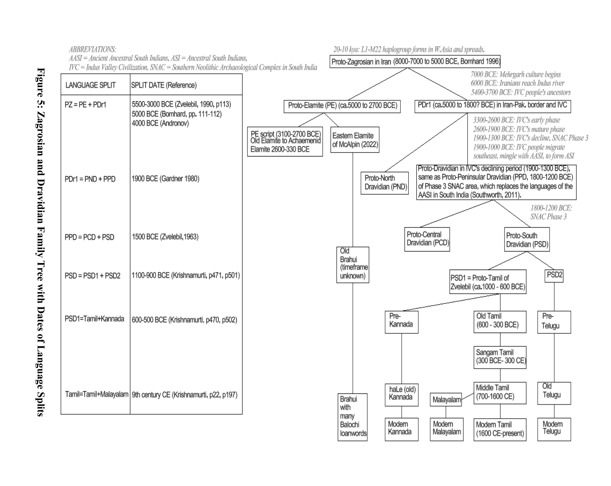 Large landscape family-tree diagram: Proto-Zagrosian splits into Proto-Elamite (Old Elamite, Brahui) and PDr1, which splits into Proto-North Dravidian and Proto-Peninsular Dravidian (PPD); PPD splits into Proto-Central Dravidian and Proto-South Dravidian, leading to Tamil, Malayalam, Kannada and Telugu, with a table of language splits and dates.